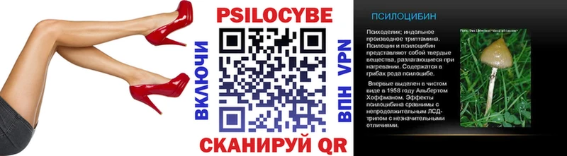 Псилоцибиновые грибы Psilocybine cubensis  Любань 